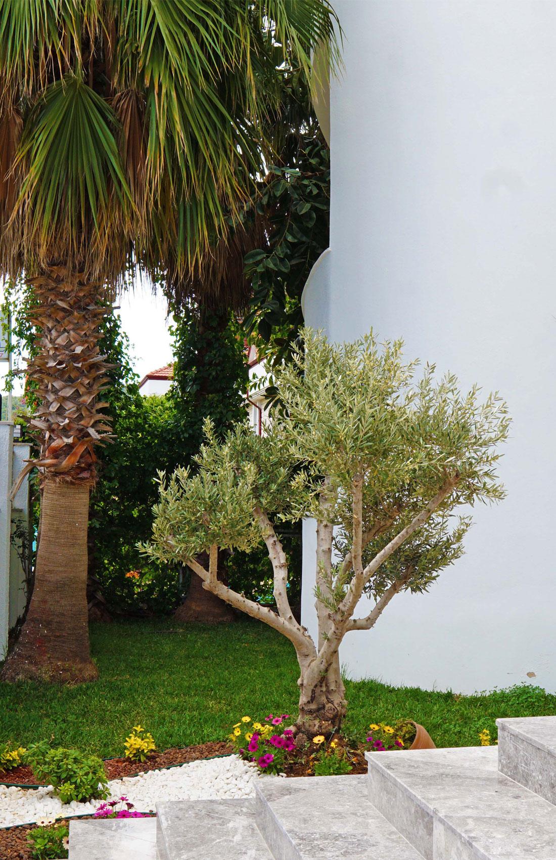 Elamir Felizya Hotel Κεμέρ Εξωτερικό φωτογραφία